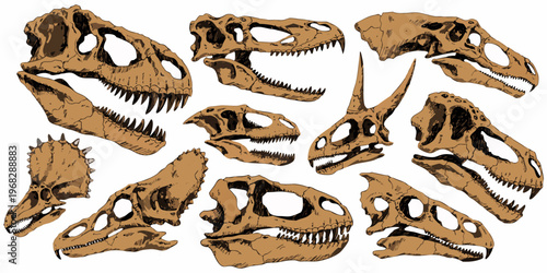 Isolated ancient Tyrannosaurus rex skull and bones featuring sharp teeth and a powerful jaw on white and grunge backgrounds depicting a prehistoric predator reptile monster.