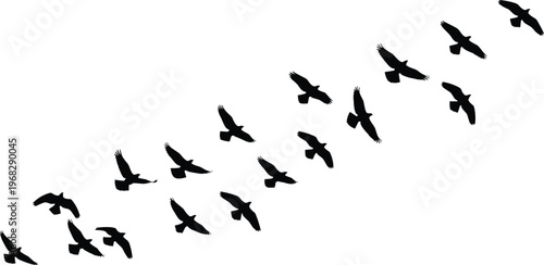 Flying birds silhouette flock, migration concept illustration, black bird shapes in sky, nature wildlife scene, freedom symbol, minimal design, isolated