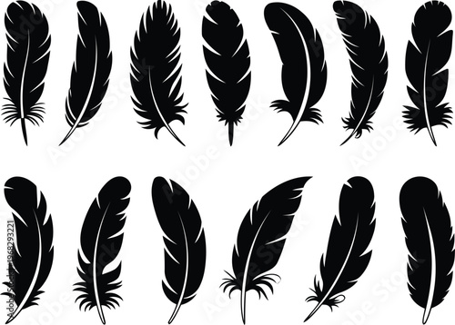 Minimal Flat Feather Vector Icon set
