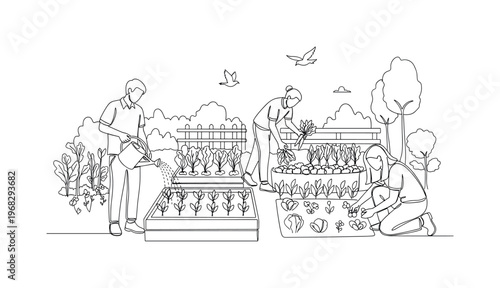 Green Space Interaction. Minimalistic one-line drawing people watering plants and harvesting in a shared urban garden, continuous single black line on white