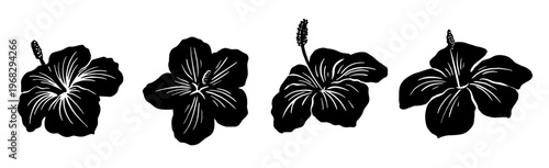 Silhouette tropical black hibiscus vector flowers set. Floral monochrome illustration decal, decor, clipart, poster, sticker, template. Tea hibiscus.