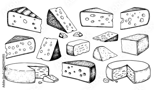 Hand drawn cheese sketch collection vintage dairy food ink vector illustration