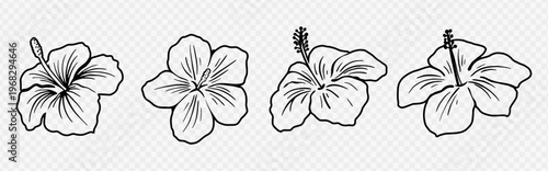 Silhouette tropical black hibiscus vector flowers set. Floral monochrome illustration decal, decor, clipart, poster, sticker, template. Tea hibiscus.