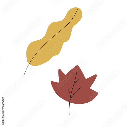 Two autumn leaves, yellow oak and red maple, simple flat vector illustration isolated on white, perfect for seasonal greeting cards, cozy social media posts, stickers