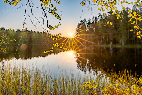 beautiful summer landscape at sunset