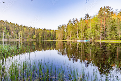 beautiful summer landscape at sunset