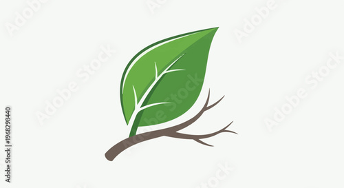 A stylized green leaf with veins on a brown branch