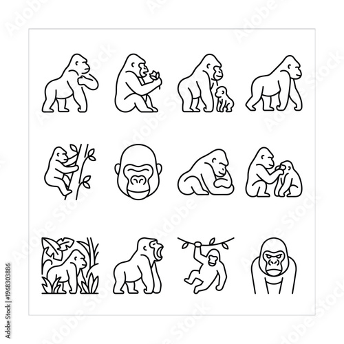 Collection of stylized gorilla icons showing various activities and poses