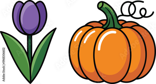 Vibrant Cartoon Vector Illustration Set Featuring a Purple Tulip Flower and a Large Orange Autumn Pumpkin with Green Stem Isolated on White Background