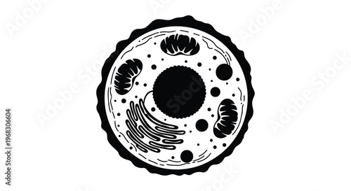 Detailed cell structure illustration with organelles a striking silhouette