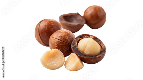 Photos Different types of macadamia nuts  isolated on transparent background cut out