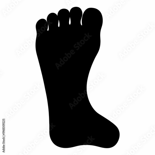 Silhouette of a human foot, anatomical representation on a white background