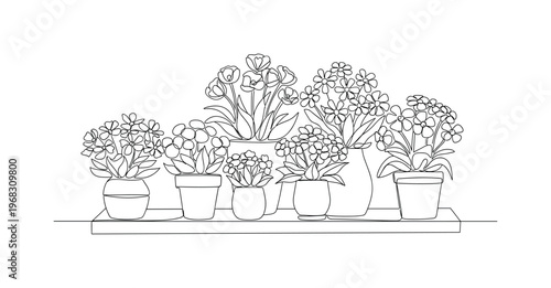 Flower Display. Minimalistic one-line drawing flowering plants in cheerful pots on shelf or table, continuous single black line on white background, simple