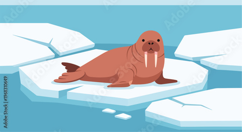 A vector illustration of a brown walrus resting on an icy floe in blue water