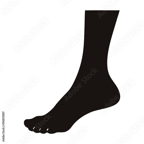 Silhouette of a human foot and ankle shown from a side view