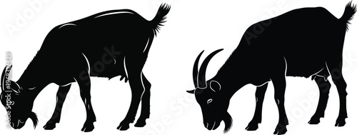 Two black silhouette goats grazing on a white background animal