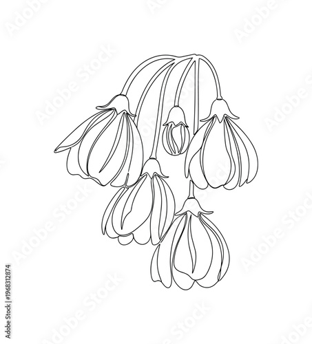 Wilted Petals. Minimalistic one-line drawing close-up of drooping flowers with soft hanging petals, continuous single black line on white background, simple
