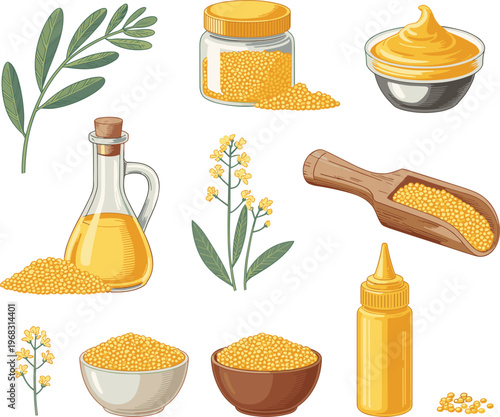 Mustard seed and oil illustration set with plant leaves jars bowls and sauce showcasing natural ingredients and culinary organic products