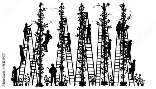 A black silhouette illustration of people climbing ladders to tend plants
