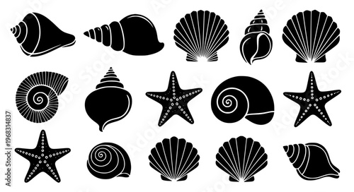 Sea shells silhouette vector set marine shells EPS10 isolated on white