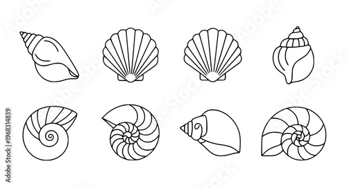 Minimal seashell silhouette vector icon set EPS10 isolated on white