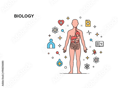 Biology human anatomy concept where a simplified human body shows major organs while small sparkle and line icons emphasize physiology, health, and scientific