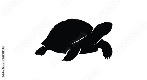 Black turtle form depicted in a striking minimalist silhouette