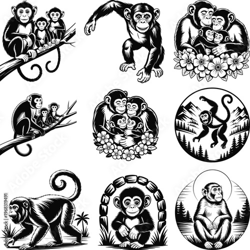 Monkey svg Bundle, Monkey monogram, Monkey svg file