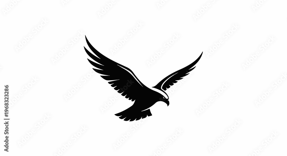 Fototapeta premium Silhouette of a bird of prey in flight, wings spread wide