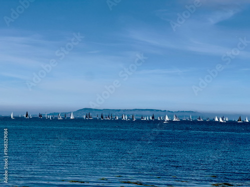 Regatta far away