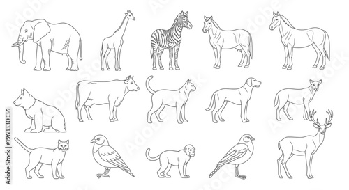 Various animals in a single line.