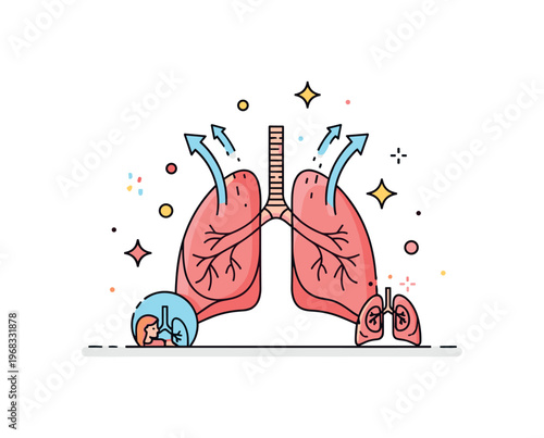 Lungs breathing air oxygen exchange diagram scene where alveoli show air and blood interaction while tiny sparkle and line icons highlight biological function,