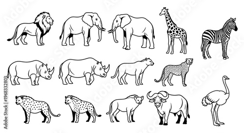 Collection of various wild animals standing 1.