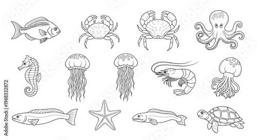 Collection of ocean sea creatures icons.