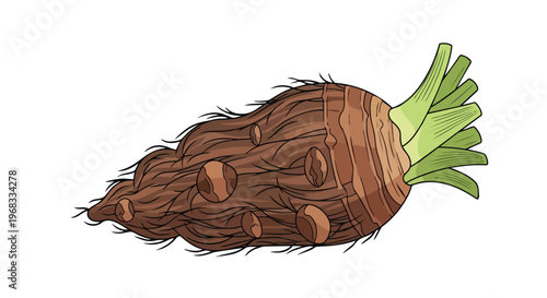 Illustration of a single, brown, fibrous taro root vegetable with green leafy sprouts emerging from its crown on a plain white background