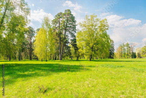 Green park forest with green trees and green grass on green field