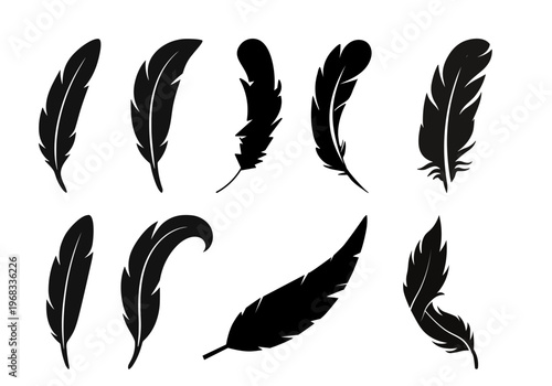 Set of elegant feather silhouettes representing lightness and nature beauty.