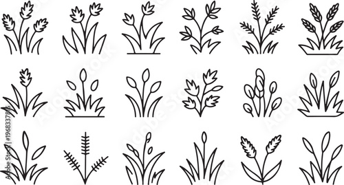 Set of Minimalist Grass Line Icons, Wheat Stalk Silhouettes, and Botanical Plant Vector Graphics on White Background