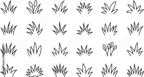Grass line icon, meadow doodle outline design, bush tuft, small lawn, black sketch plant with flowers isolated Doodle bunch of grass. Hand drawn lawn bush of grass icon hand drawn whit background