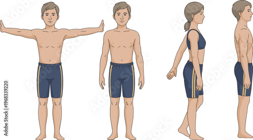 Male and female body reference characters front side views, anatomy vector illustration isolated on white background for fitness and design