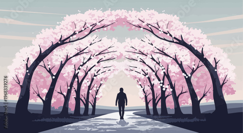 Silhouette of a person walking down a path lined with cherry blossom trees.