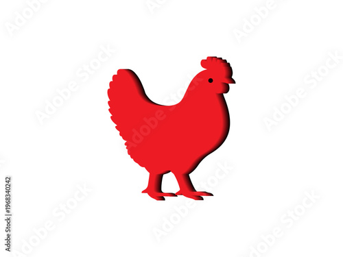 chicken on white background