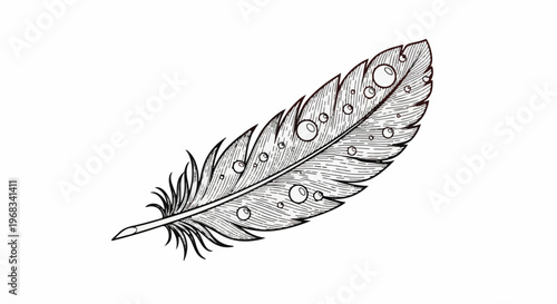 A delicate, hand-drawn illustration of a single feather adorned with water droplets