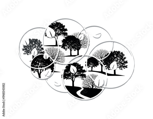 tree grove circular frames intersecting lines and abstract leaf icons detailed monochrome cluster of trees with walking path in serene grove setting with white