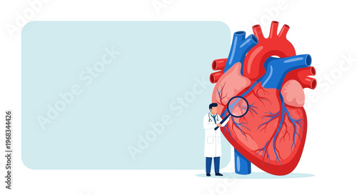 Doctor Examining Human Heart with Magnifying Glass.