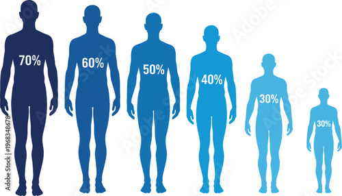Human body water percentage by age illustration, hydration levels infographic, adult child comparison, health concept, medical vector design, body composition analysis