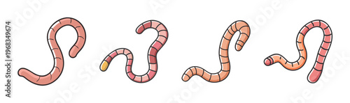 Group of four cartoon earthworms in various curled positions on a white background