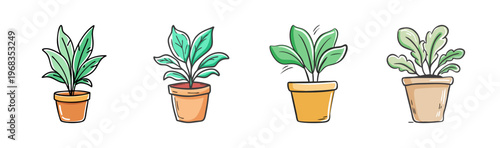 Set of four potted green houseplants with lush leaves in terracotta and yellow pots.