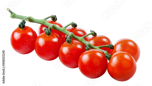 Tableau sur toile Vibrant cluster of ripe juicy cherry tomatoes hanging from a green stem, isolate