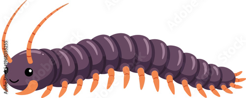 Centipede insect with orange legs.